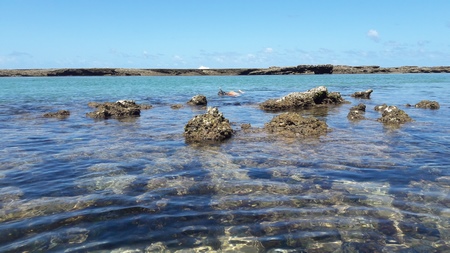 Easy snorkeling at the beach